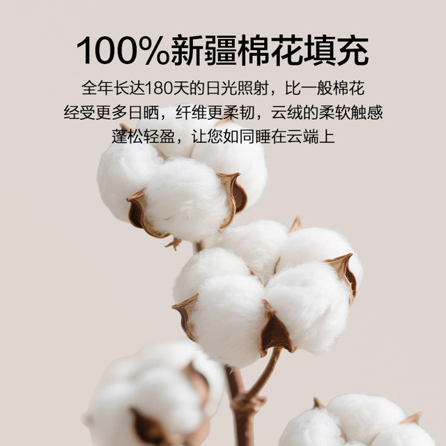 Winter quilt Xinjiang pure cotton quilt core autumn winter quilt cotton tung winter thick warm single spring and autumn quilt