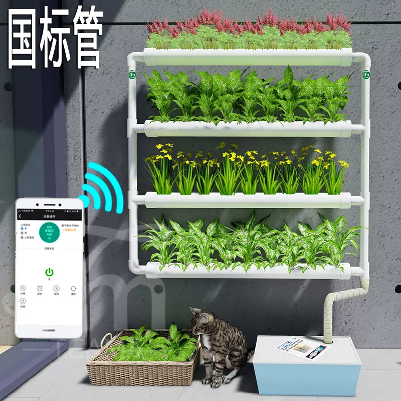 壁挂式种花种 新人首单立减十元 22年2月 淘宝海外