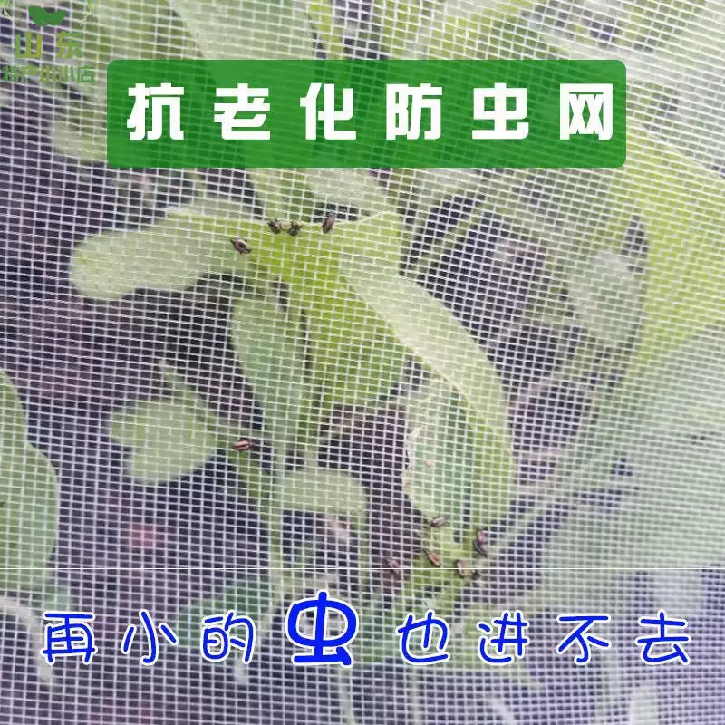 家庭种菜防虫网 新人首单立减十元 21年11月 淘宝海外