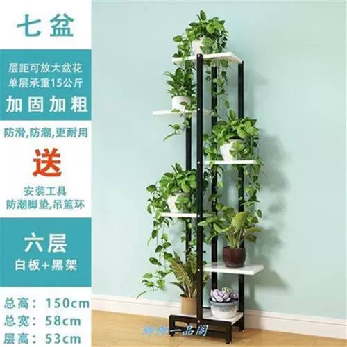 心形盆栽铁 新人首单立减十元 22年2月 淘宝海外