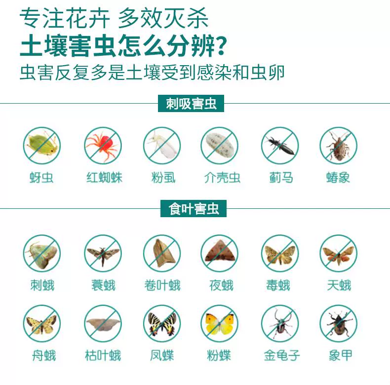土壤杀虫剂花卉植物盆栽小飞虫花盆花土杀虫