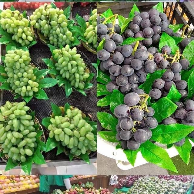 Simulated star anise leaf fruit store decoration fake green leaves gold plate leaves square real leaves size small price plant leaves