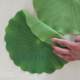 Simulated banana leaf barbecue fruit bottom placing decoration leaves sushi restaurant decoration banana leaf decoration