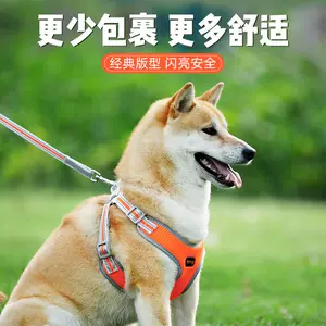 狗窝超大型犬 新人首单立减十元 22年8月 淘宝海外