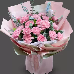 11朵康乃馨花束 新人首单立减十元 22年8月 淘宝海外