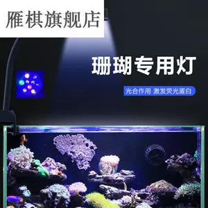 软体灯海水灯 新人首单立减十元 22年7月 淘宝海外
