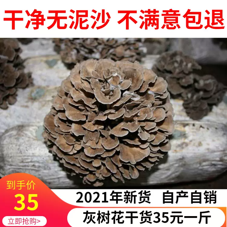 灰树菇舞茸-新人首单立减十元-2021年12月淘宝海外