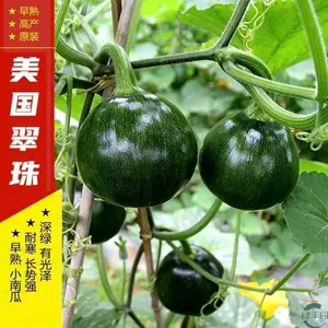 小秋翠 新人首单立减十元 22年7月 淘宝海外