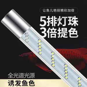 全光普led灯 新人首单立减十元 22年7月 淘宝海外