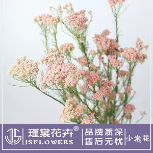 小米花干 新人首单立减十元 22年3月 淘宝海外