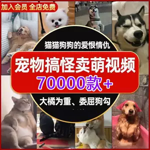 猫配音 新人首单立减十元 22年7月 淘宝海外