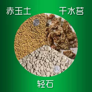 苔玉土 新人首单立减十元 22年8月 淘宝海外