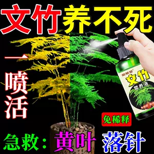 液体花卉肥料 新人首单立减十元 22年8月 淘宝海外