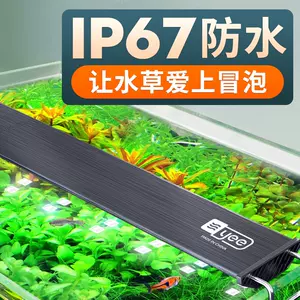 鱼草缸灯 新人首单立减十元 22年8月 淘宝海外