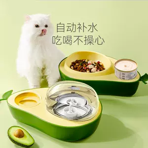 小型犬自动喂食器 新人首单立减十元 22年8月 淘宝海外