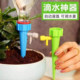 Lazy automatic flower watering artifact automatic watering adjustable drip watering watering device water seepage timed gardening home use

