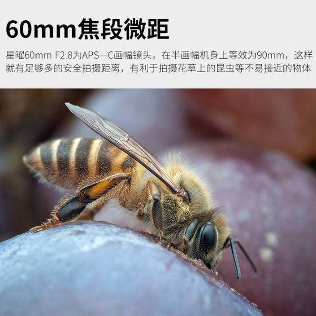 Xingyao 60mm F2.8 full frame Xingyao 6028 second-generation macro lens suitable for Canon Nikon z Sony e-port