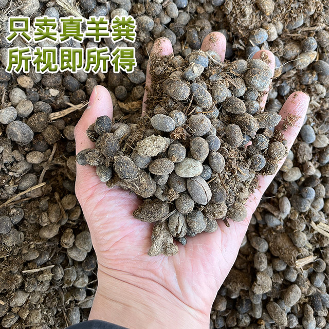10-100Jin [Jin equals 0.5 kg] Sheep manure fermentation organic fertilizer pot plant fertilizer vegetable fertilizer flower general vegetable farm pure sheep manure egg
