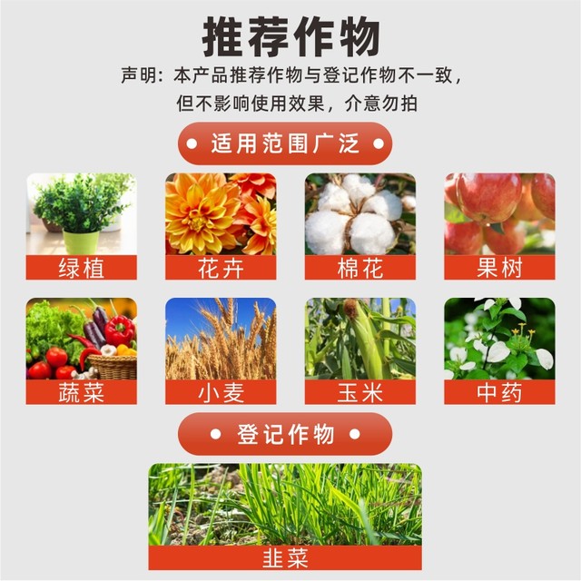 Dr. Huacao's imidacloprid small white drug insecticide special insecticide scale insect succulent plant soil insecticide