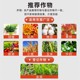 Dr. Huacao's imidacloprid small white drug insecticide special insecticide scale insect succulent plant soil insecticide