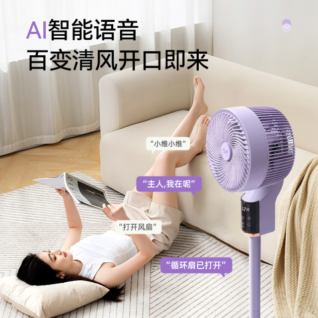 Skyworth Air Circulation Fan Electric Fan Household Powerful Floor-standing Fan 2025 New Taiwan-Serial Dual-purpose Iceland