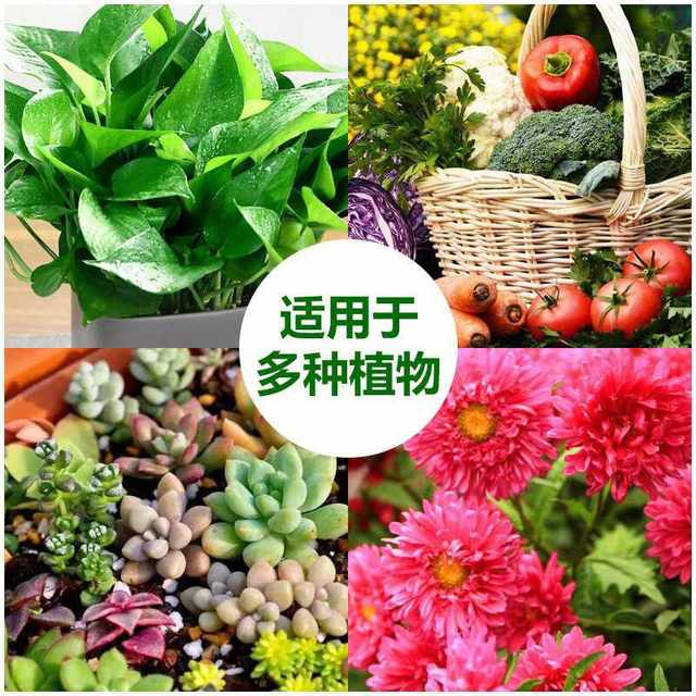 Horticulture flower fertilizer potassium dihydrogen phosphate fertilizer flower promotion flower promotion fruit promotion root growth phosphorus potassium fertilizer foliar fertilizer water-soluble fertilizer