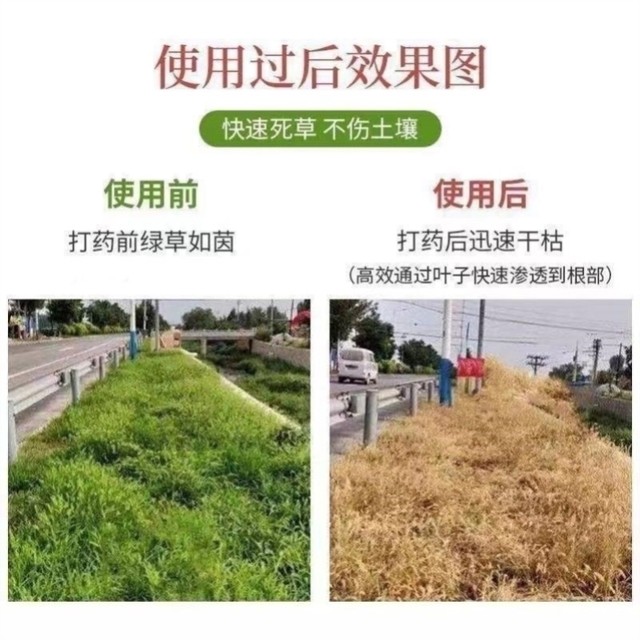 Tree root-killing powder, rotten root agent, tree root-removing agent, tree-root-removing agent, rotten root powder, powerful tree-killing agent, special medicine for dead trees