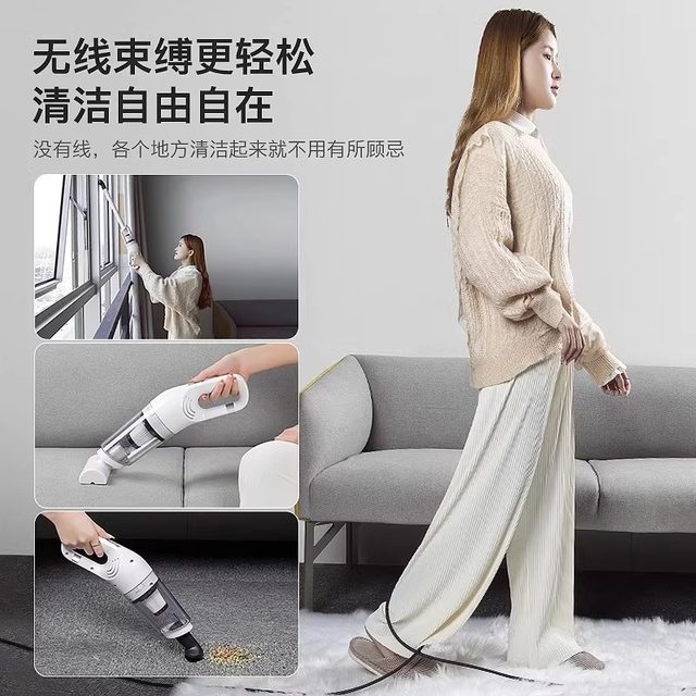 German wireless two-in-one car handheld large suction small mite removal hair suction ultra-silent vehicle vacuum cleaner