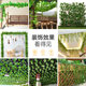 Simulated fake green leaves, rattan flowers, leaves, wires, beautification, air conditioning, heating pipes, water pipes, indoor plastic