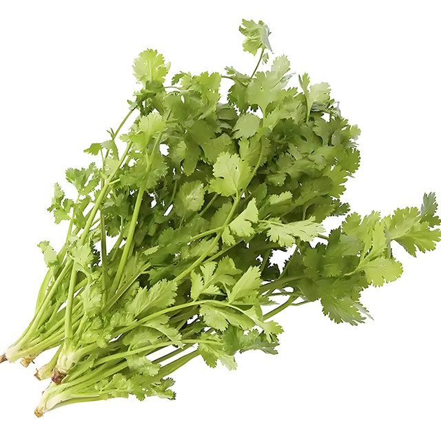 Coriander seeds, delicious, big leaf coriander seeds, old varieties, balcony vegetables, farmhouse small leaf vegetable seeds