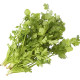 Coriander seeds, delicious, big leaf coriander seeds, old varieties, balcony vegetables, farmhouse small leaf vegetable seeds