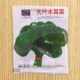 Thick big leaf fungus seeds vegetable seeds planted in all seasons summer seedlings small green vegetables balcony potted vegetable seedlings