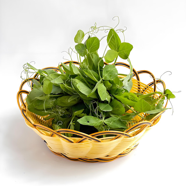 Sichuan Daweiwu pea tip seed pea seed sprout seeds hydroponic seeds seeds hydroponic seeds planting in autumn