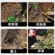 Digging wild vegetables shovel gardening and planting small shovel tools for household weeding artifacts for digging vegetables and weedings for special shovel digging garlic shovel