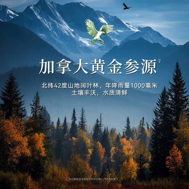 Eagle brand Citi ginseng American ginseng tea solid beverage 40 packaging official authentic Douyin same style