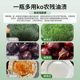 OAKWOOD Oakwood Tea Tree Fruit Vegetables Mother and Baby Pregnant Women Wash Fruits and Pesticide Residues Washing Cleaner
