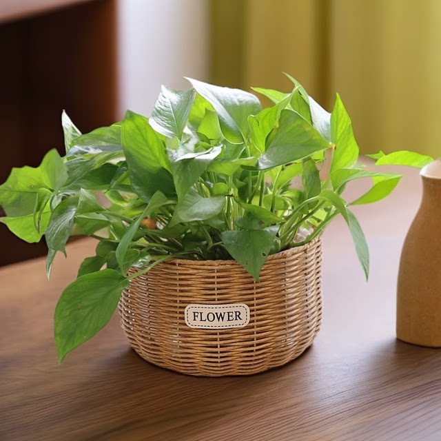 Imitation rattan straw flower basket, green radish, butterfly orchid, living room display, storage basket, flower arrangement, green plant gardening, floor-standing flower pot