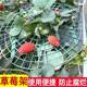 Flower stand planting strawberry tray rack artifact anti-lodging plant fruit support gardening supplies green plant support shelf