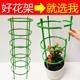 Plant bracket universal flower stand splicing gardening orchid Hualian flower shelf supporting rod inside anti -climbing frame