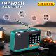 Little Bawang S52 Radio, FM Digital FM Radio, Mirants, Charging Card U disk Bluetooth Player
