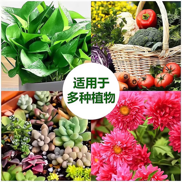 Plant nutrition solution universal home -cultivated flowers green spiny green plants, succulent potted potted fortune tree liquid fertilizer
