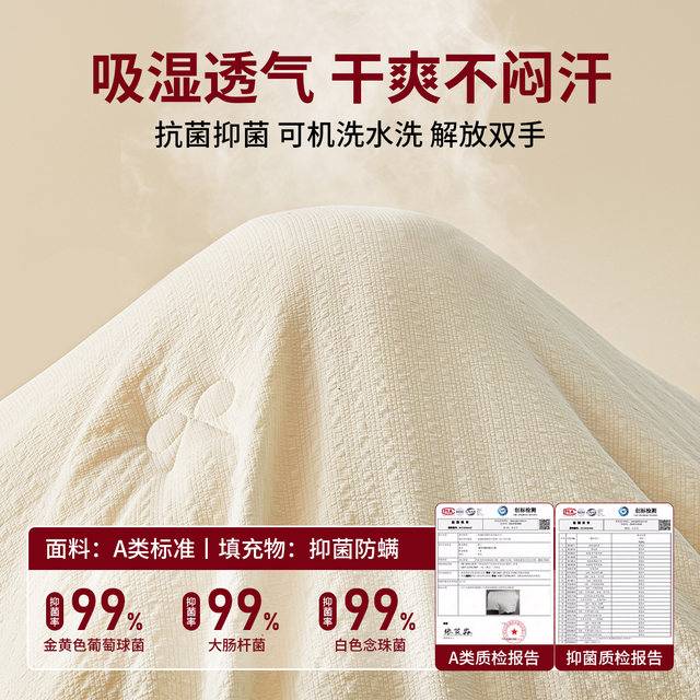 Red bean soy fiber quilt spring and autumn dormitory single all-season winter quilt quilt summer cooling quilt air-conditioning quilt core