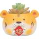 Cartoon tiger succulent flowerpot creative resin crafts potted ornaments home gardening green plant small flowerpot