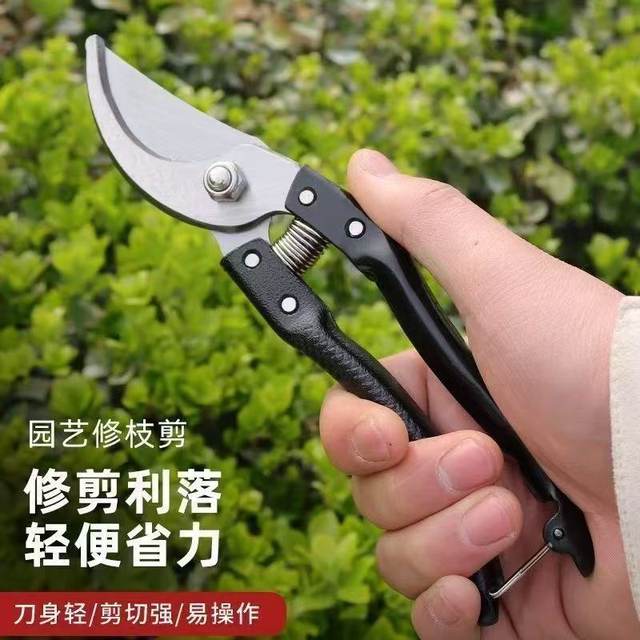 Garden scissors, pruning shears, gardening fruit tree scissors, branch shears, spring tea tree scissors, branch special pruning shears tools
