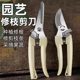 Gardening garden fruit tree scissors to prune branches potted plants artifact household greening scissors branch pruning knife special tool