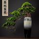 
Large floor-standing vase welcoming pine bonsai ornaments hotel lobby decorations large root carving plant bonsai potted plants