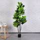 Simulation Green Plant Large Potted Traveler Banain Leaf Banyan Tree Horticultural Plant Tiger Pipchida Turtle Back Home Decoration Window
