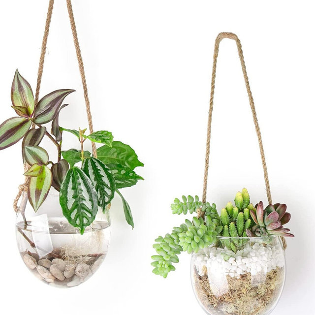 Hanging hydroponic egg-shaped glass vase wall hanging water plant container home gardening wall decoration pendant