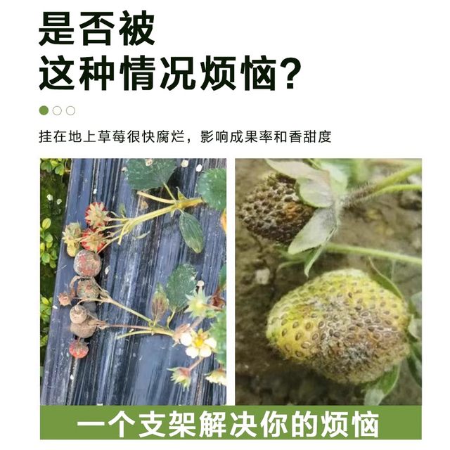 Strawberry stand tray gardening supplies family balcony planting sunflower potted seedlings anti-rot fruit support rack