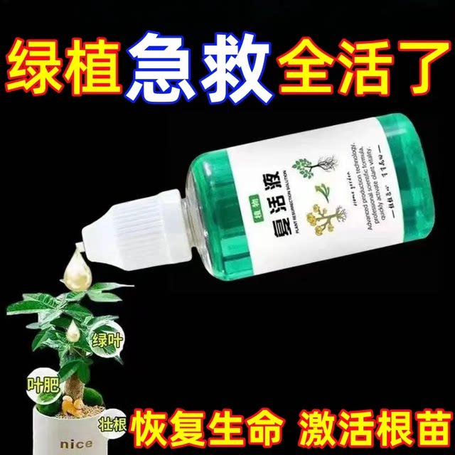 Plant and flower resurrection solution for plant and flower resurrection solution for yellowing and leaves falling.